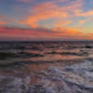 Meet your Posher, Bridget